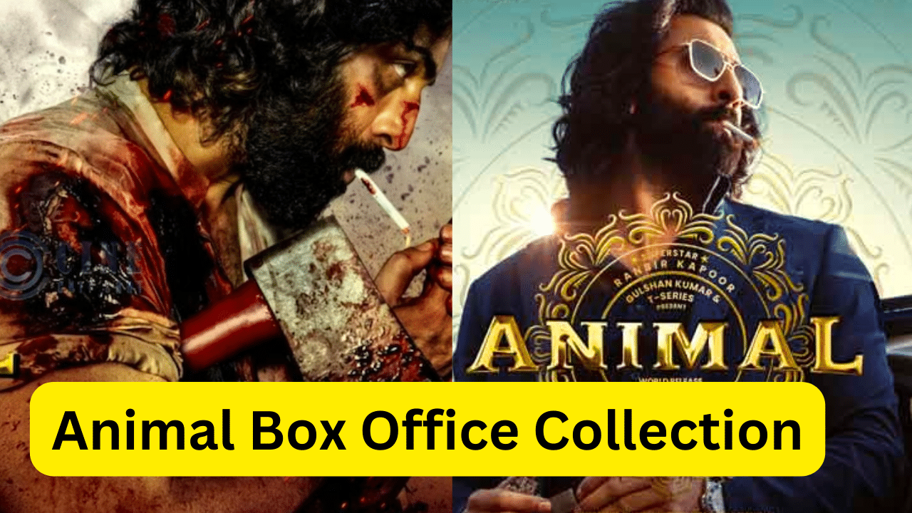 Animal Box Office Collection